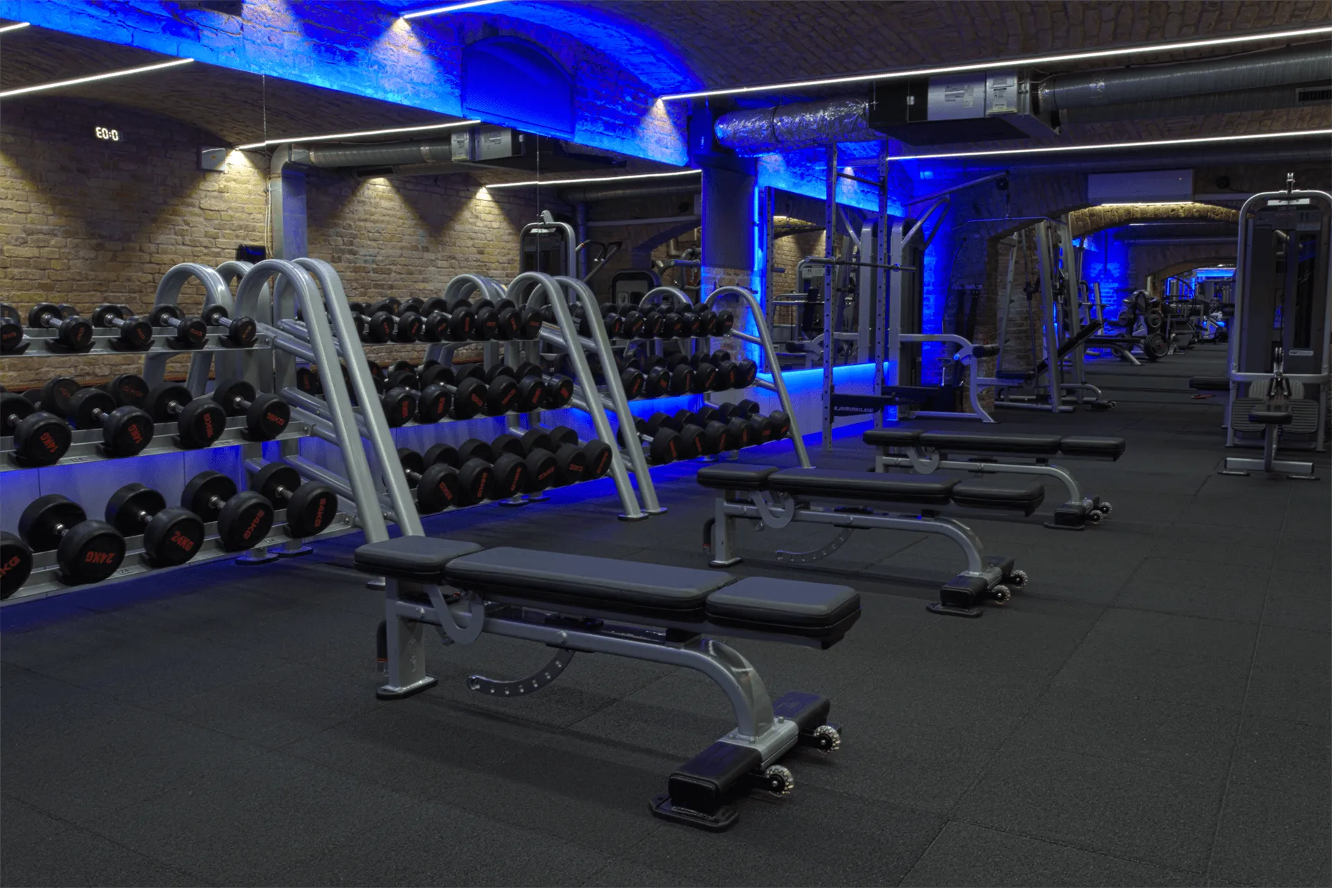 W54 Fitness